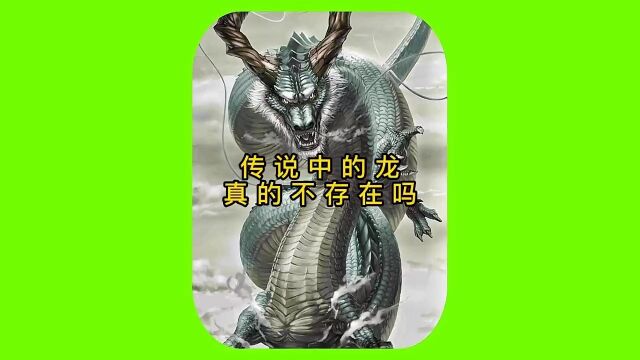 龙真的存在吗?