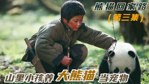 大山小孩与大熊猫做朋友，最后不得不含泪赶它走<第三集>