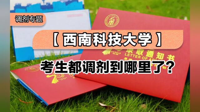 西南科技大学考生都调剂到哪里了?