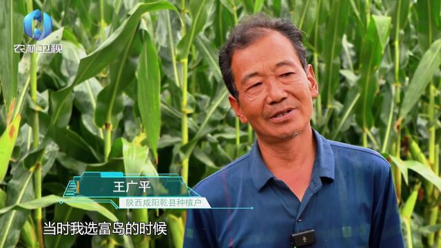 中海化学 粮安中国万里行——革命老区的“丰收根据地”