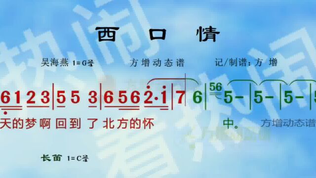 西口情#经典老歌 #音乐分享 #动态曲谱 #乐器演奏