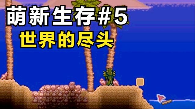 泰拉瑞亚:萌新生存#5,世界的尽头!