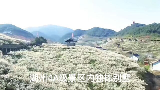 湖州4A级景区内独栋别墅带花园400800平方