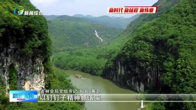 实施“六大行动” 高标准推进绿美清远生态建设