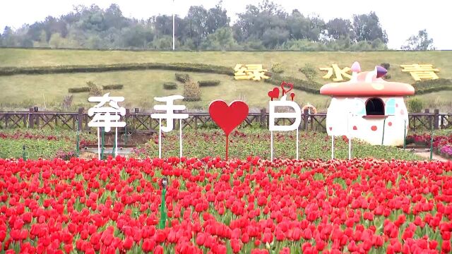 花开满乡间!佛山三水将以更高水平推动乡村振兴