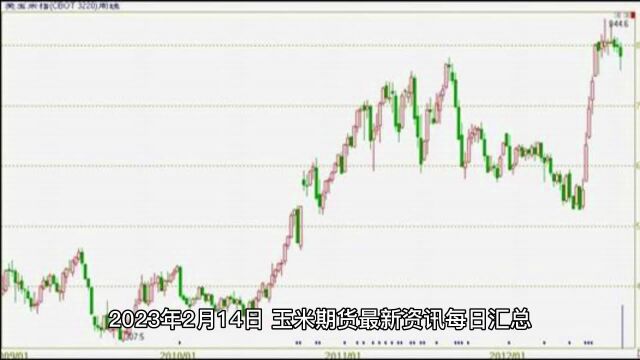 2023年2月14日,玉米期货最新资讯每日汇总