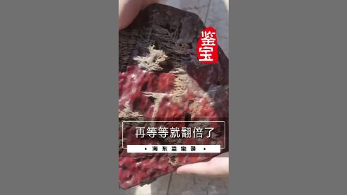 大哥买东西还是有点眼光的