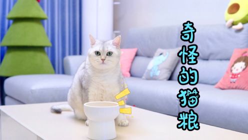 小猫咪的猫粮被调包，七宝变身大侦探来破案