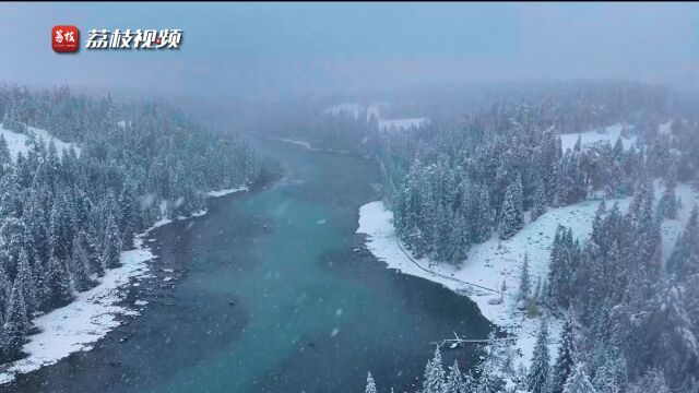 万里雪飘!新疆喀纳斯秋雪纷飞似水墨仙境