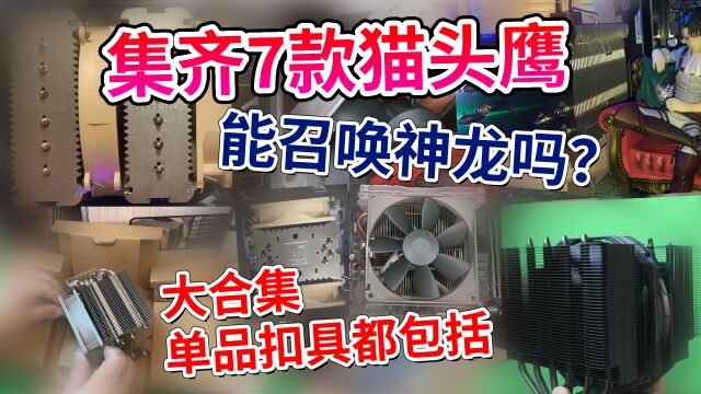 猫头鹰散热器 我比官方还全 NOCTUA NHD15黑色版 D15S NHU9SU14S U12A数码丨计算机丨DIY