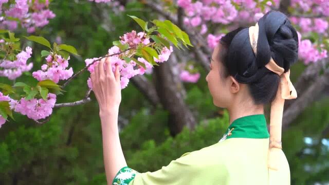 十二花神邀您共赴青州花朝节