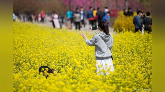 四类药低迷,春季药店做好5大品类方案