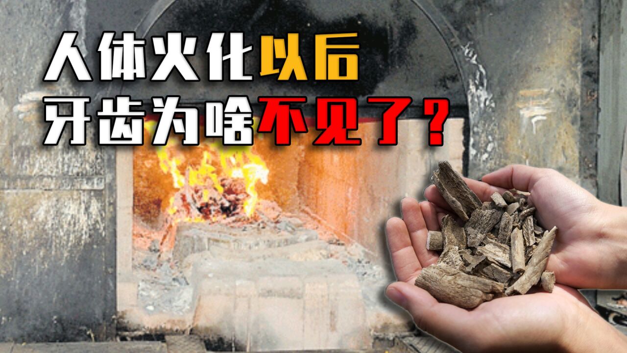 为什么人体火化后,只剩骨头没有牙齿?两种方式未来或代替火葬?