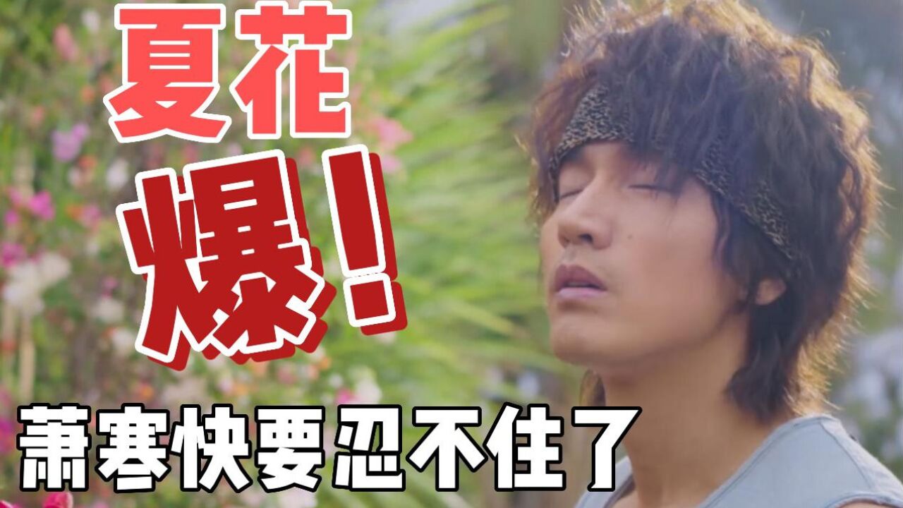 夏花:面对何冉这朵看似人畜无害,实则“茶艺深厚”小白花的攻势,萧寒快要忍不住了_腾讯视频