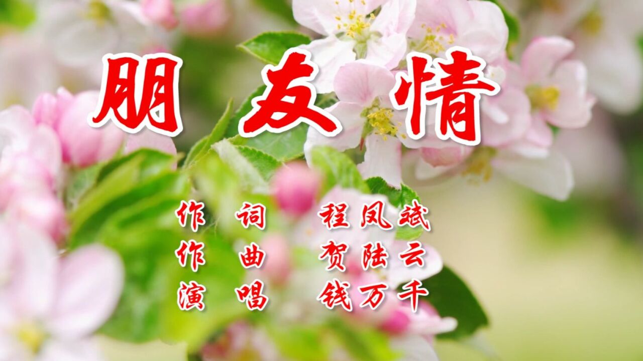 朋友情   作  词  程凤斌 作  曲  贺陆云 演  唱  钱万千