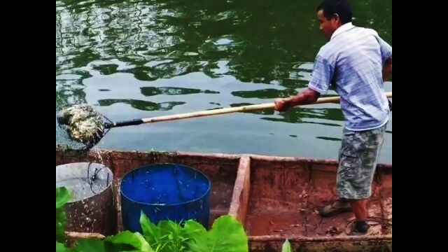 不同土质对水产养殖来说有哪些利与弊?