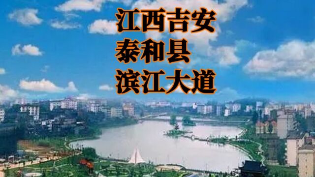 江西吉安泰和县滨江大道