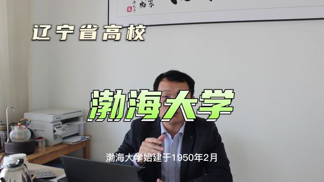 辽宁高校之渤海大学