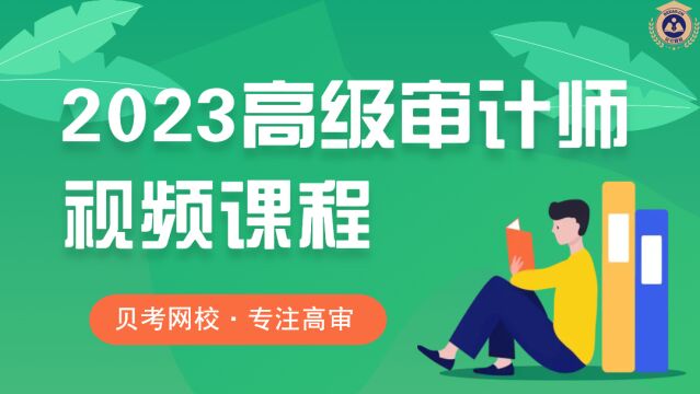 2023年高级审计师《高级审计实务》课程精讲