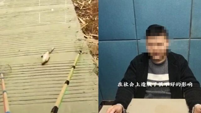 男子在自家鱼塘电鱼被举报,被带去警局道歉:罚款500元没收工具