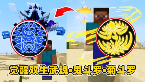 我的世界魂者大陆生存：觉醒新双生武魂，鬼斗罗和菊斗罗！_高清