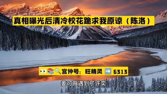 真相曝光后清冷校花跪求我原谅(陈洛小说)全文在线阅读○无删减