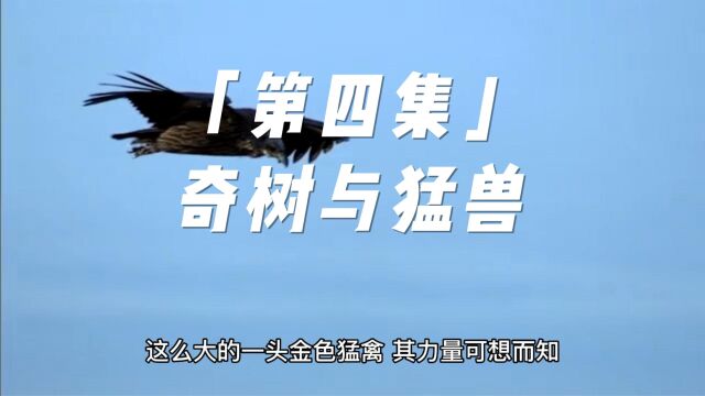 小说「第四集」(1)