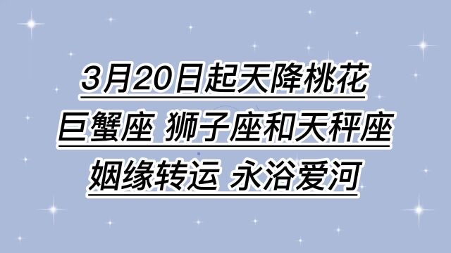 3月20日起天降桃花,巨蟹座、狮子座和天秤座姻缘转运,永浴爱河