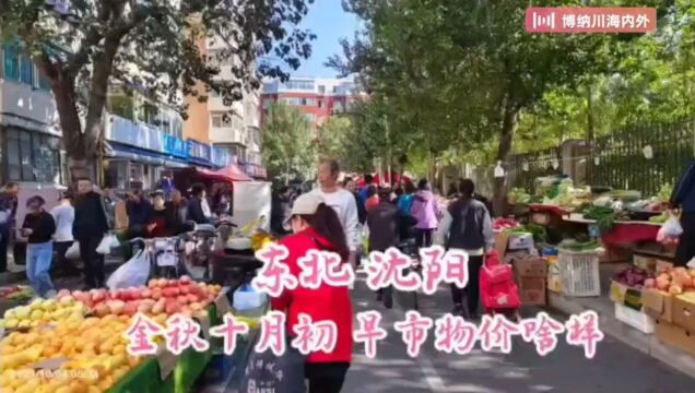 东北沈阳 金秋十月初 早市物价啥样