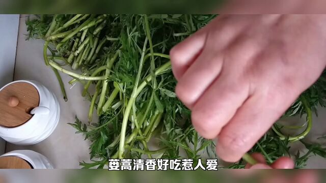 蒌蒿清香惹人爱