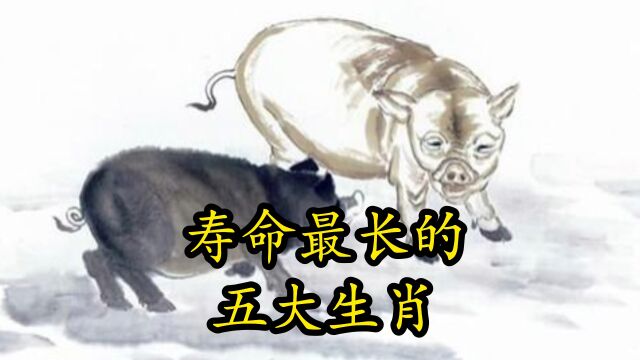 寿命最长的五大生肖