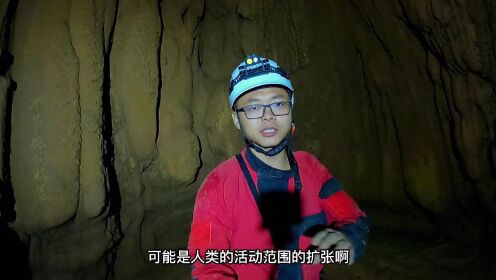 探险小队进入毛狗洞，竟发现神秘爪痕，难道老人说的是真的吗_高清1080P在线观看平台_腾讯视频