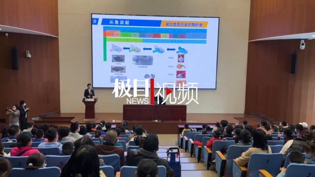 鱼类是如何演化的?这场地质科普很有趣