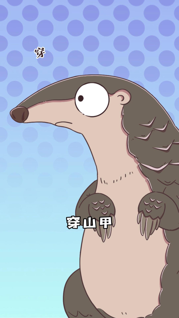 温顺穿山甲,一起保护它