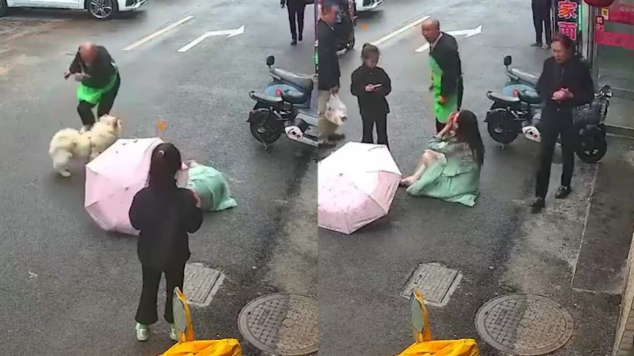 女子摸陌生狗脸部被撕咬，当场倒坐地痛苦哀嚎，男子冲来踹狗救人_高清