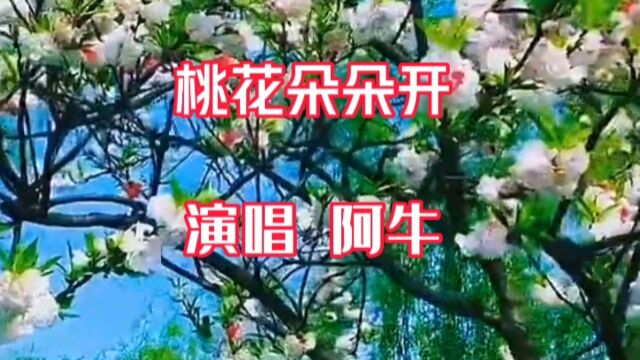 百听不厌 经典歌曲 桃花朵朵开