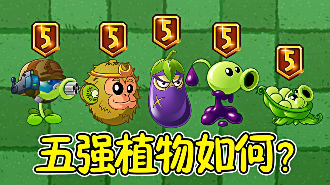 机动悍将_机动悍将全民飞机大战_机动悍将的驾驶员