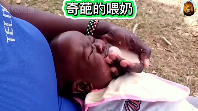 国外育儿方法