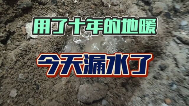 地暖管漏水后我们过来给他精准测出漏水点,损失只有一块砖#测漏水 #漏水维修 #漏水检测精准定位