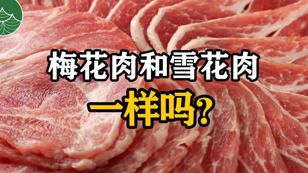 梅花肉和雪花肉一样吗?