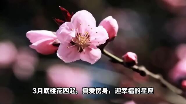 3月底,红鸾星动,3大星座桃花四起,真爱傍身,喜迎幸福