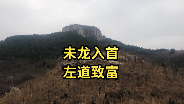 未龙入首,左道致富.