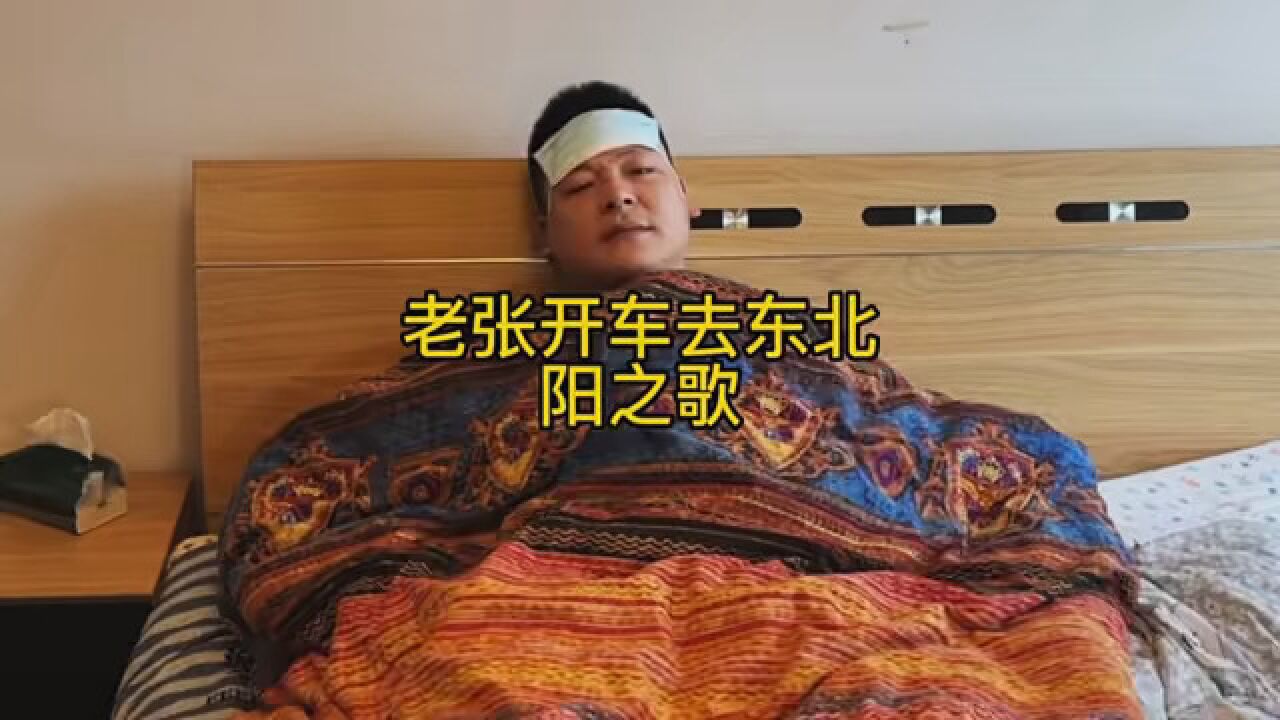 老张开车去东北 阳之歌 #搞笑 #歌曲改编