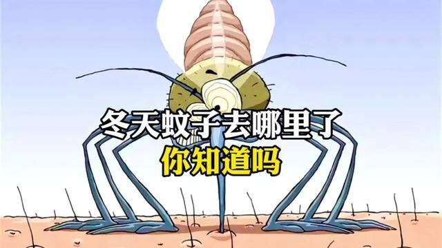 冬天蚊子去哪里了,你知道吗?