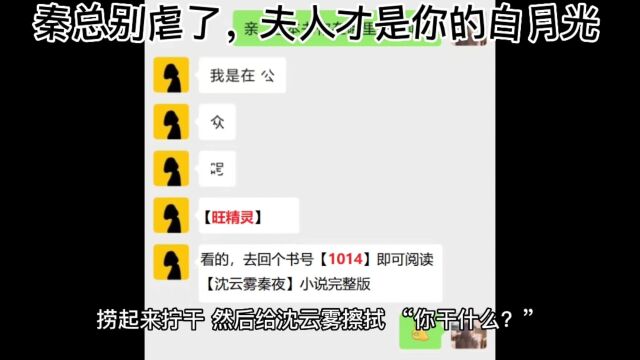 《秦总别虐了,夫人才是你的白月光》沈云雾秦夜【大结局】