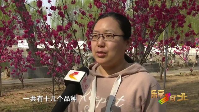 这么近 那么美 周末到河北丨石家庄裕西公园开启五彩斑斓模式