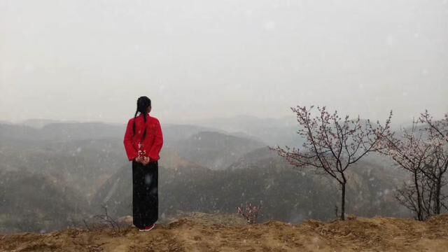 风盈桃花花更香,四月飞雪多情郎,惹得山恋白了头,片片相思落田间,郭涛崖畔高来崖畔低唱的太有味道了#黄土高原 #我的乡村生活