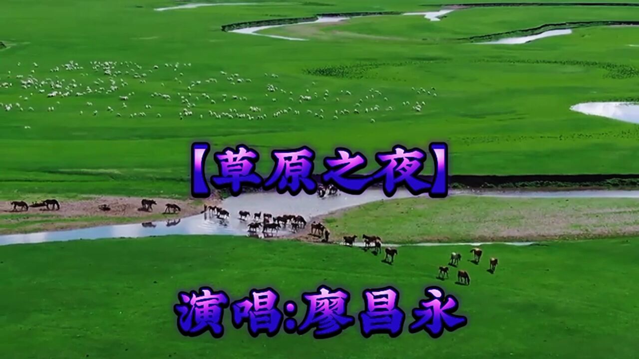 歌唱家廖昌永演唱【草原之夜】浑厚男中音,好听极了