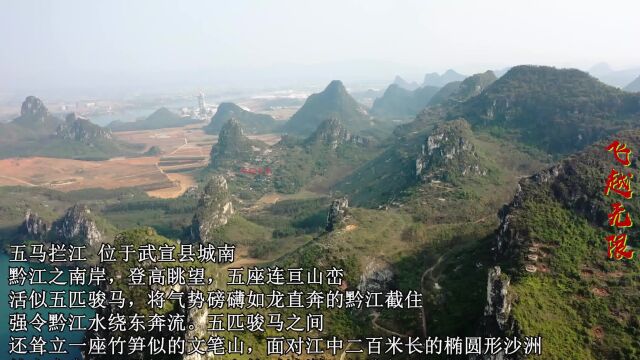 航拍武宣有名的留题:五马拦江口,文笔对沙洲山水美景