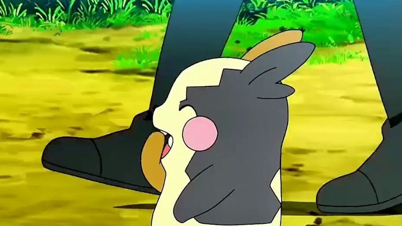 你只知道皮卡丘?#精灵宝可梦#宝可梦#神奇宝贝